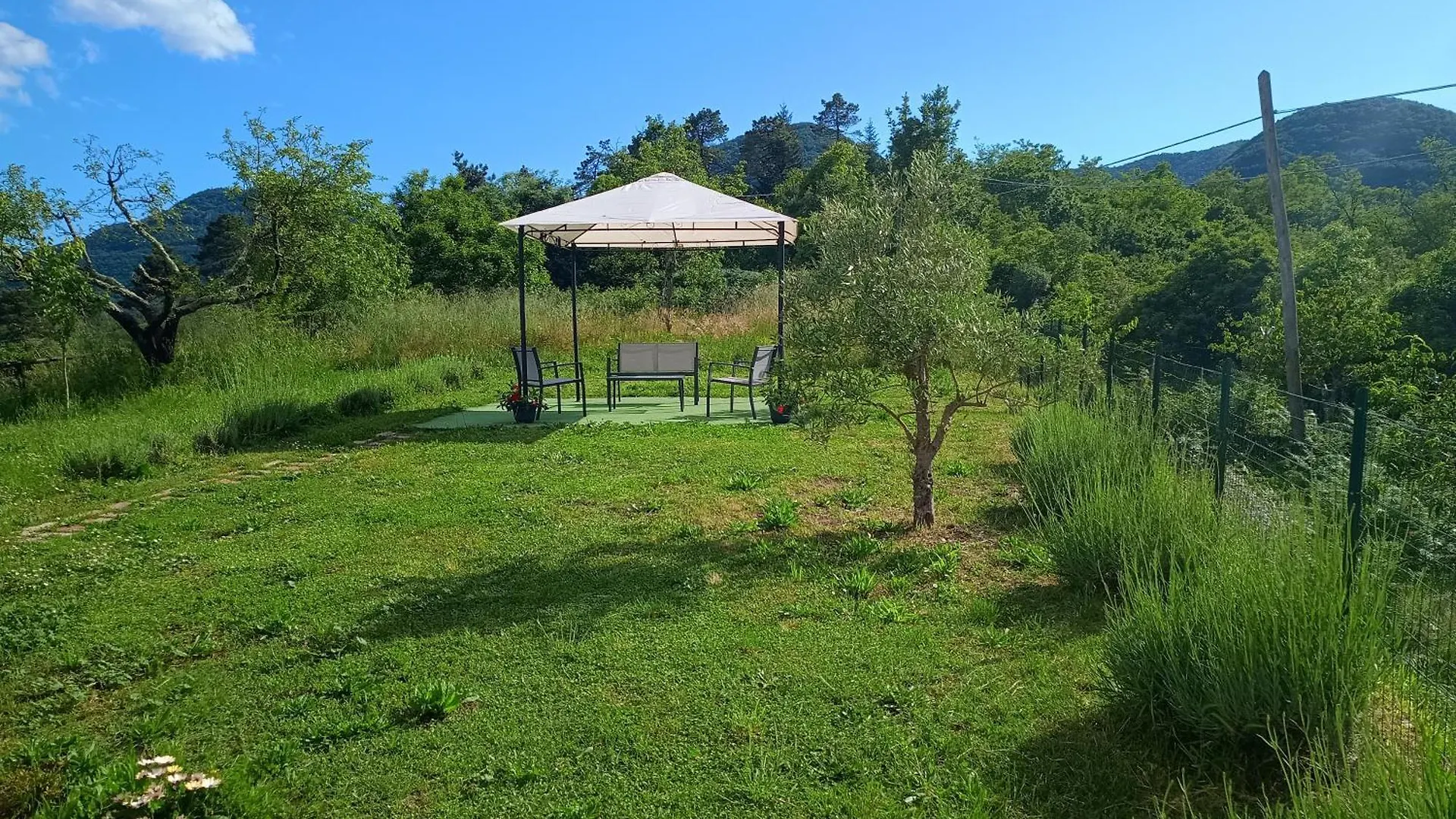 Dom wakacyjny Willa Ca Nel Bosco San Benedetto